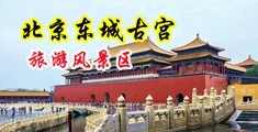 我要艹AV中国北京-东城古宫旅游风景区
